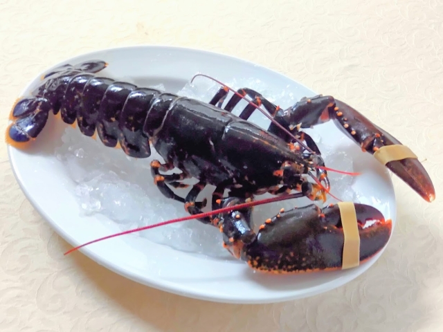 活オマールブルー